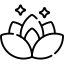 WebPremiumCare